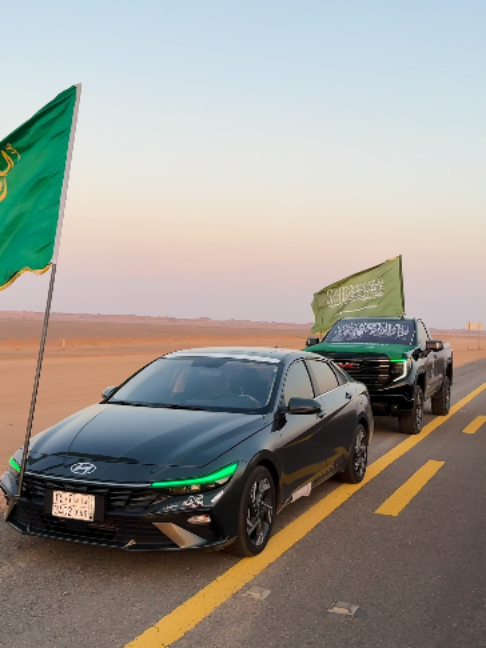 هذه اللوكات ولا بلاش🤩💚💚💚 ابدعونا بلوكاتكم #النترا #يوم_الوطني #سييرا