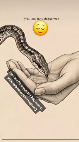 #😌 #🥀🖤 