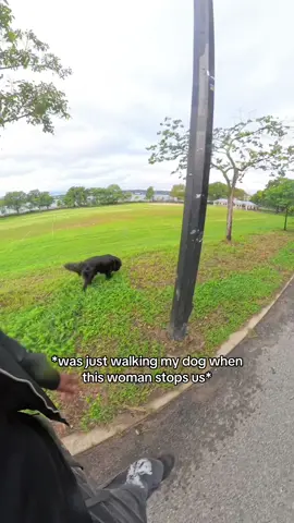 Strong recall becomes more and more neccesary every day 😭 #dog #dogs #dogvideo #dogvideos #DogTraining 