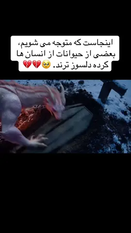 #paris #foryoupagе #virale #تاجیک_هزاره_ازبک_پشتون_ترکمن🇦🇫 #london 