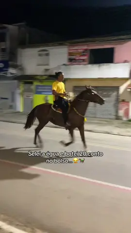 O certo mesmo é irmão Piscuila😂😂 . . . . .#cavalo #egua #cavalgada #meme #foryoupage 