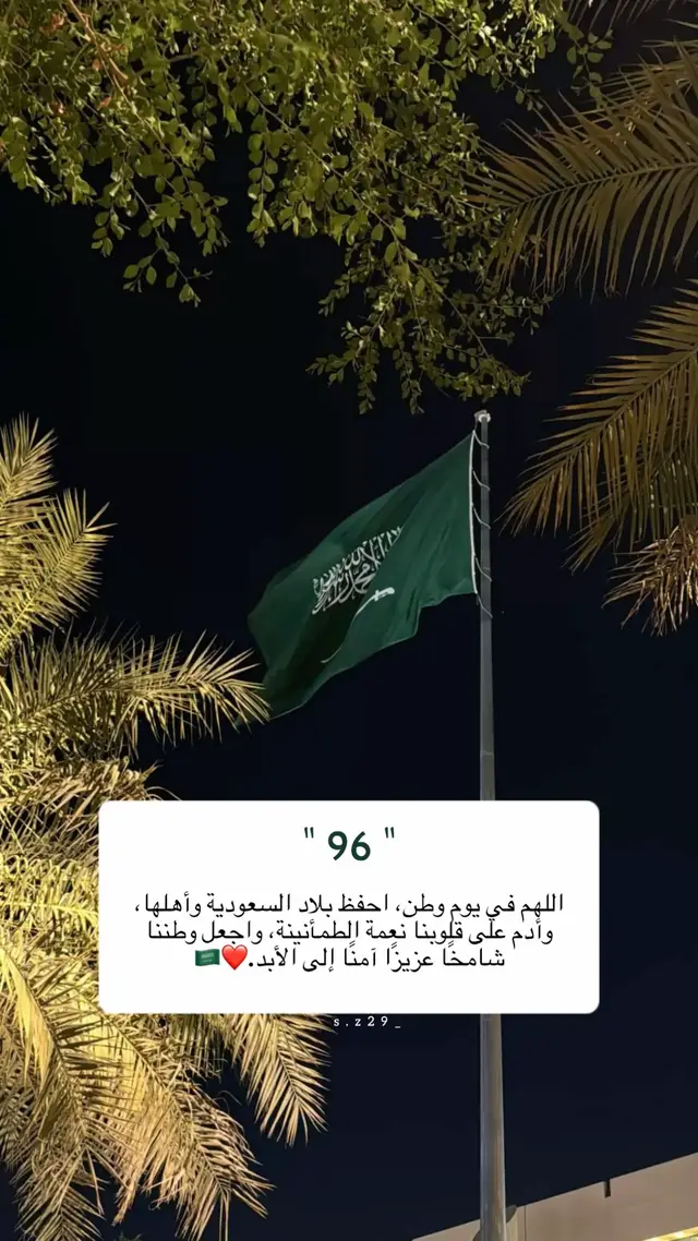 #creatorsearchinsights #اكسبلورexplore #المملكة_العربية_السعودية #اليوم_الوطني_السعودي #fyp 