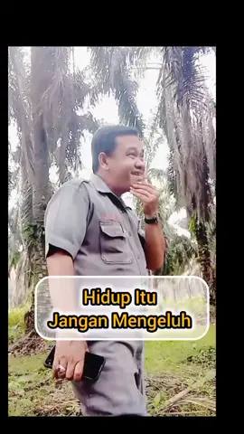 Ini versi TikTok biar FYP bang: Hidup itu jangan banyak mengeluh, banyak mengeluh itu berisik 😅 #hidupitujanganmengeluh #motivasikehidupan #katabijak #fyp