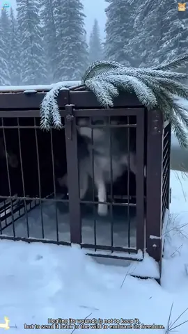 Animals always remember genuine kindness ❤️#animals#animalreunion#heartwarming#wholesome#fouyoupage