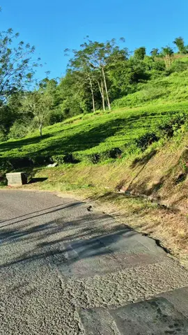 Sukanagara Cianjur selatan