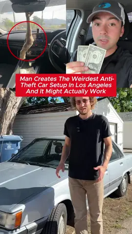 How to Stop Your Car From Getting Broken Into#DidYouKnow #mindblowingfacts #earnontiktok #facttokd 