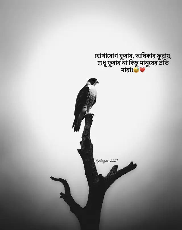 ** ** ** #Maksudnya 