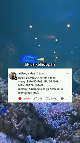Source Threads /aldisugandaa
