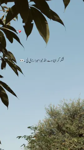 اپڑے ہتھ اچ رکھی ھے بندے آا ۔🥺👀 #1millionaudition #aestheticvideos #foryou #foryourpage #poetrystatus 