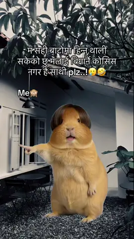 Bhujish ni sathy 🤨🤣#fyyyyyyyyyyyyyyyyyyyyyyyyyyyyyyyyyy #mentionyourfriends #viral #creatorsearchinsights #support_me 