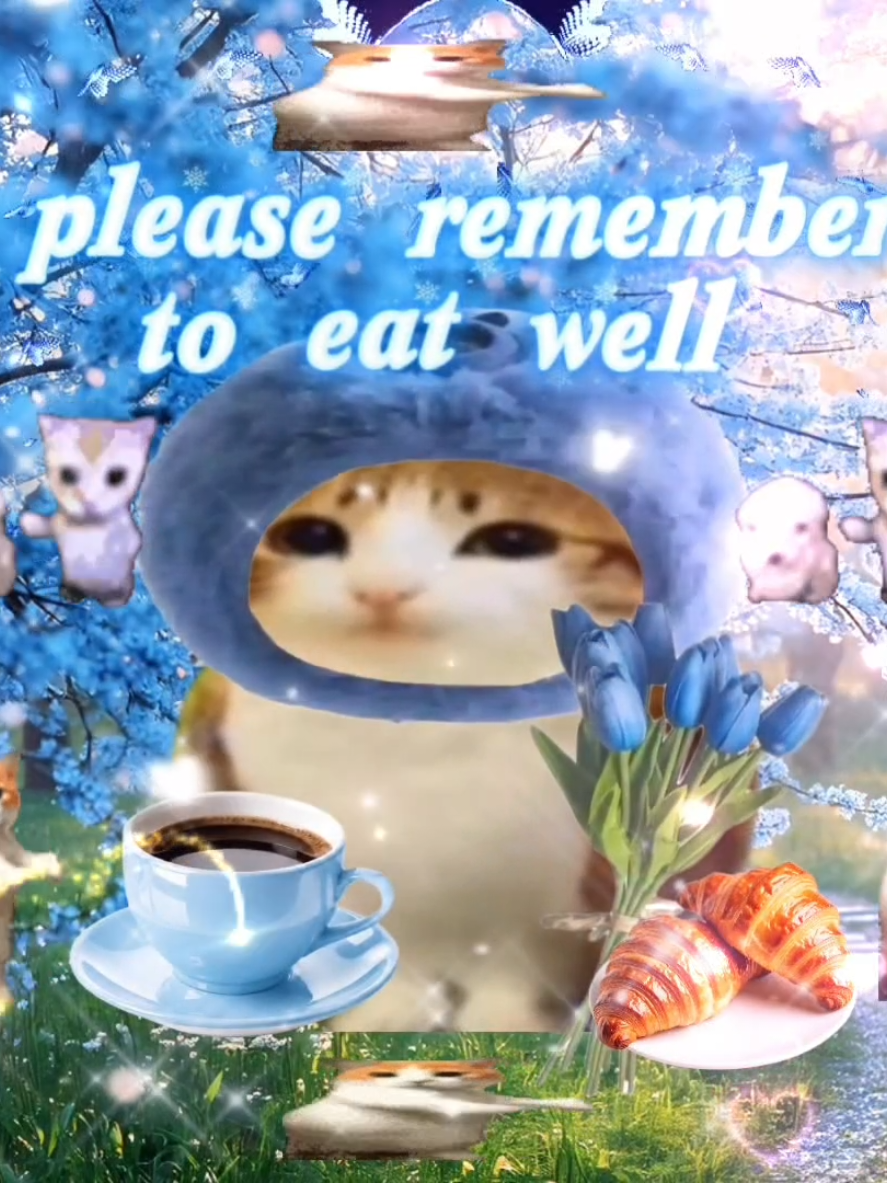 get your talking cat video in my bio 🙀🙀💗 gm ♡ have a good day! #sillycatsoftiktok #sillycatlovers #sillycatlovers #catcore #cats 