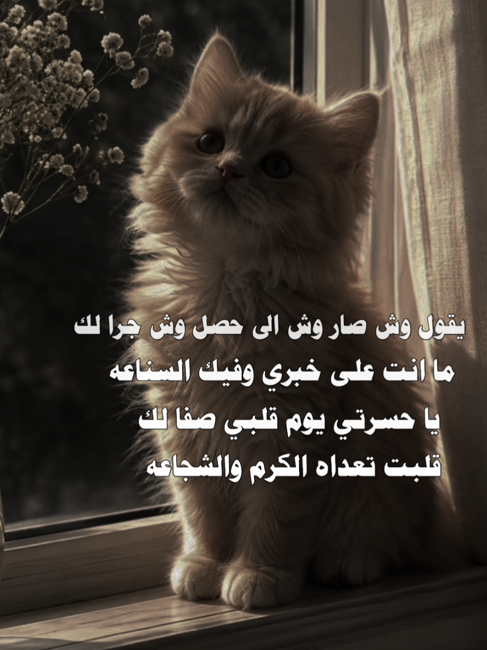 يقول وش صار وش حصل لك 🥀#عباراتكم_الفخمه📿📌 #مصمم_فيديوهات🎬🎵 #لايك__explore___ 
