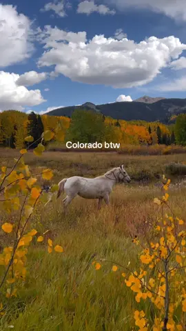 Best fall foliage spots in Colorado:  1. Kebler Pass  2. Guanella Pass  3. Telluride  4. San Juan Mountains  5. Crested Butte  6. Aspen  7. Maroon Bells  8. Golden  💌 Be sure to follow along as we share the best places to see fall foliage 🍁