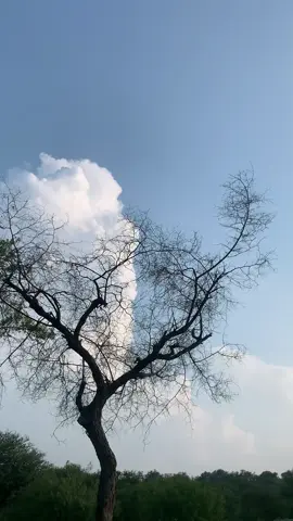 پھر یوں ہوا کہ بات جدائی تک آگئی  خود کو ترے مزاج میں ڈھالا نہیں گیا تو نے کہا تو تیری تمنا بھی چھوڑ دی  تیری کسی بھی بات کو ٹالا نہیں گیا@️شاہ میر