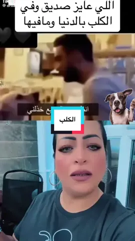 #onthisday احمل فيديو غير منتهي الصلاحية #dogs #creatorsearchinsights #dog 