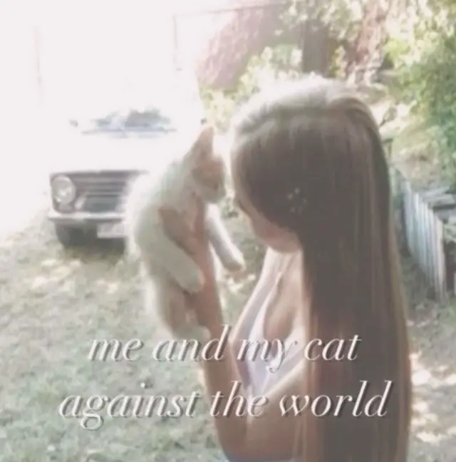 me and kitty :( he sadly was taken by someone who is a terrible person. i miss my sweet kitty so here’s an appreciation post for him #cat #cute #kitty #girlblogger #aesthetic 