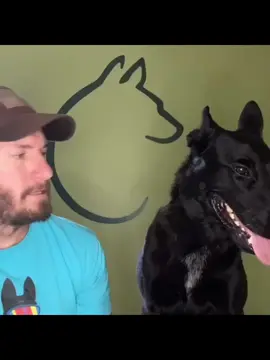 Just #singing to my #dog 🤷