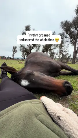 THAT FART 😳 it would have made anyone sit up 👀 where did he store that?! 😂 Farts aside 😂 It gives me so much joy to see the horses trust me so deeply, that they choose to lay down flat on the ground next to me for a nap 😴 what an incredible way to start the day 🐴🤗✨ We still have the herd split between two paddocks at the moment (just while we’re feeding the big round hay bales out, due to the dry/drought conditions. I’ve found it’s a little easier to make sure they have unlimited access to hay ☺️). They will all come back together as one herd again soon 🥰 I hope you feel the sense of calm and peace in this video… (and enjoy this little bit of cheeky humour too!) Have a wonderful day 🤗✨ #horsemanship #happyhorse #equestrian #horselife #horses 