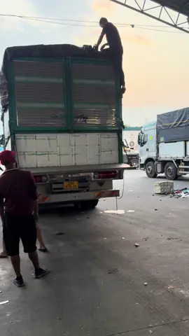 Xe mới, máy to lại còn cầm  3♠️nữa thì ai đuổi nổi