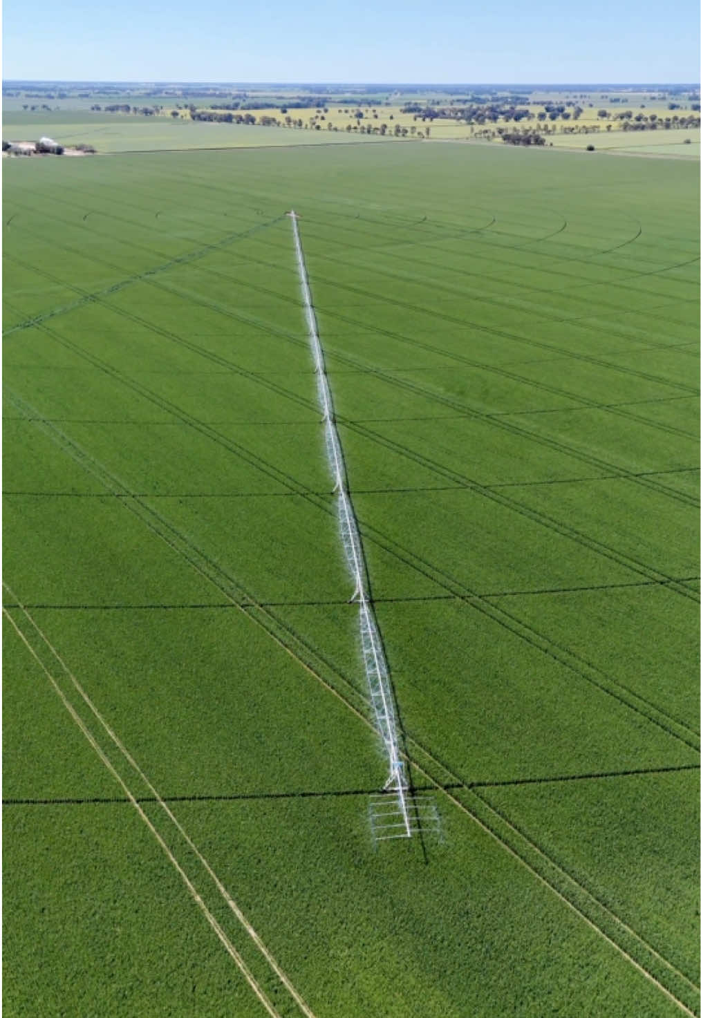 This before & after 😮‍💨💧🌱  #irrigation #agriculture #farm #farmtok #farming 