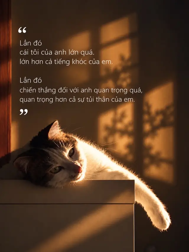 Có những tiếng khóc không cần ai dỗ, chỉ cần người mình thương chịu mềm lòng một chút. Có những sự tủi thân chẳng cần một lời xin lỗi quá lớn, chỉ cần người ấy hiểu rằng: “À, lúc đó em đã đau đến vậy.” Đôi khi một mối quan hệ không kết thúc vì hết yêu, mà vì một người cứ mãi muốn đúng, còn một người thì mệt mỏi với việc phải tự nuốt hết những tổn thương vào lòng. Sau cùng, điều đáng tiếc nhất không phải là chúng ta đã từng cãi nhau… mà là đã từng thương nhau rất nhiều, nhưng lại không biết cách thương nhau vào những lúc cần nhất. #tiemcamxuc #tamtrang #meow 