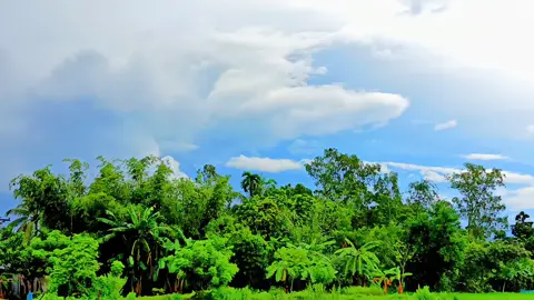 আইফোন থার্টিন প্রম্যাক্স  😱 পারবেনা ইনফিনিক্স এর সাথে  📷📷😱