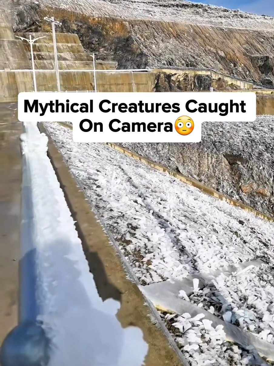 Mythical Creatures Caught On Camera 😳