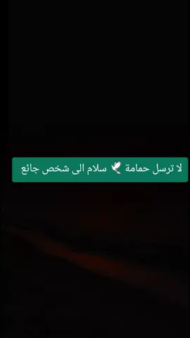 لا ترسل حمامة 🕊 سلام الى شخص جائع @عصام أبوشاويش  #عصام_أبوشاويش #ستوريات #اكسبلور #ترند #fyp 