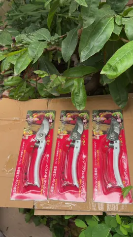 Combo từ 1 đến 3 kéo cắt tỉa cành sk5 chuyên dụng cho làm vườn#keotiacaycanh #keosk5chinhhang #freeship #dungculamvuon #dungcucaycanh 