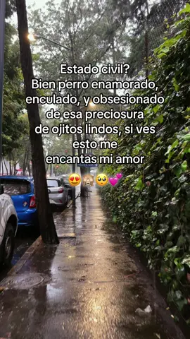 #amor #paratiiiiiiiiiiiiiiiiiiiiiiiiiiiiiiiiii🦋 #fpy #viral #💖💖💖 