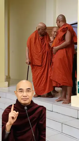 သီတဂူဆရာတော်ကိုဖူးမြင်ရလျှင်အပေါင်းနှိပ်ပြီးရှယ်သွားပါ#ကျန်းမာပါစေချမ်းသာပါစေ🙏🥰🥰🥰🥰💸💸💸 #လိုရာဆန္ဒများပြည့်ဝကြပါစေ #ငွေဝင်ကြမ်းကြပါစေ🙏🙏🙏🙏🙏 #ထီပေါက်ကြပါစေ #fyp 