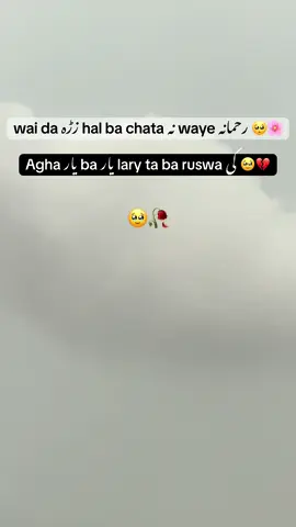 🥹🥀#pashtolines🍁 #pashtopoetry #lines💔 #fypppppppp @🦅UOP. ECONOMIST🔥❤️ 