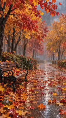 🌧️ Heavy Rain in a Beautiful Autumn Park 🍂 | Peaceful Fall Ambience AutumnRain #HeavyRain #FallVibes #RainSounds #AutumnVibes #FallRain 