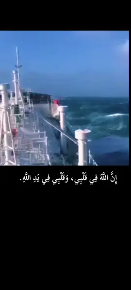 #اكسبلور #xplore #بودكاست_فنجان_ثمانيه #اقتباسات_عبارات_خواطر #السعودية_الكويت_مصر_العراق_لبنان 