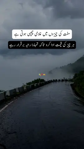 مفت کی چیزوں میں غلامی چھپی ہوتی ہے💫#viewsproblem #fypppppppppppppp #urdupoetrey #poetrylovers #unfreezemyaccount 