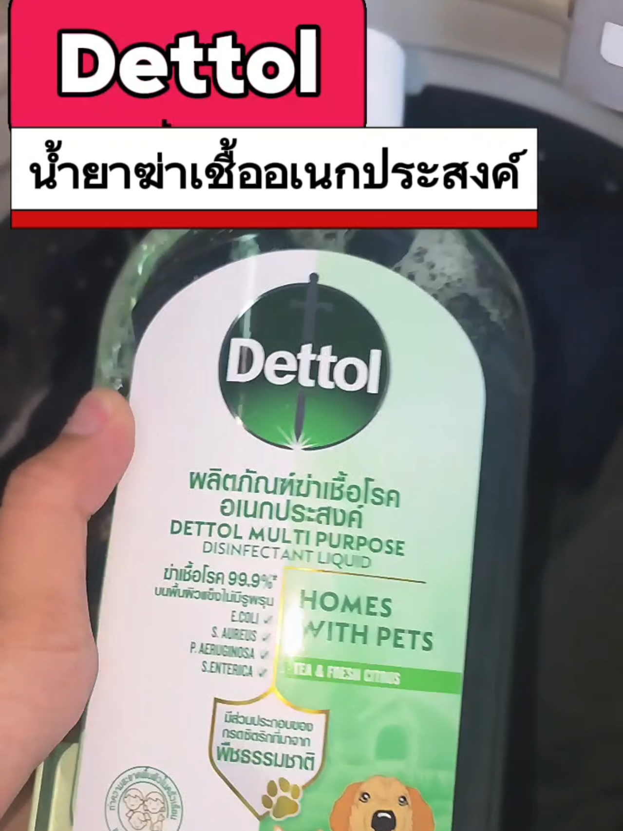 #เดทตอล #dettol #น้ํายาฆ่าเชื้ออเนกประสงค์ #ผลิตภัณฑ์ฆ่าเชื้อโรคอเนกประสงค์ #เผื่อใครถามว่าซื้อไหน 