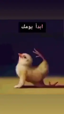 #viral #ذوق_بدويه🎶 
