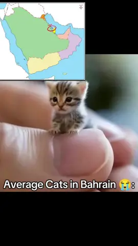 #fyp #Funny #الشعب_الصيني_ماله_حل😂😂 #arabic #trending Bahrain is so small awww 🥹🥹 