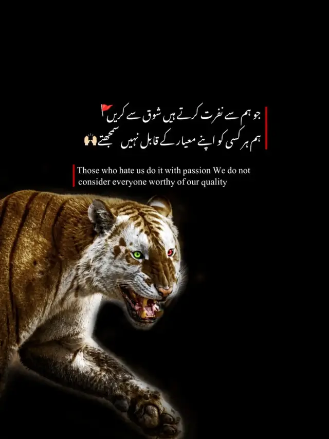 ہم سے نفرت کرنے والوں کی اپنی سوچ ہے، مگر ہم ہر کسی کو اپنی توجہ کے قابل نہیں سمجھتے۔ ہمارا معیار، ہماری پہچان اور ہمارا وقار اپنی جگہ قائم ہے۔ خاموشی سے آگے بڑھنا ہی اصل جواب ہے۔ 🐯🔥💯