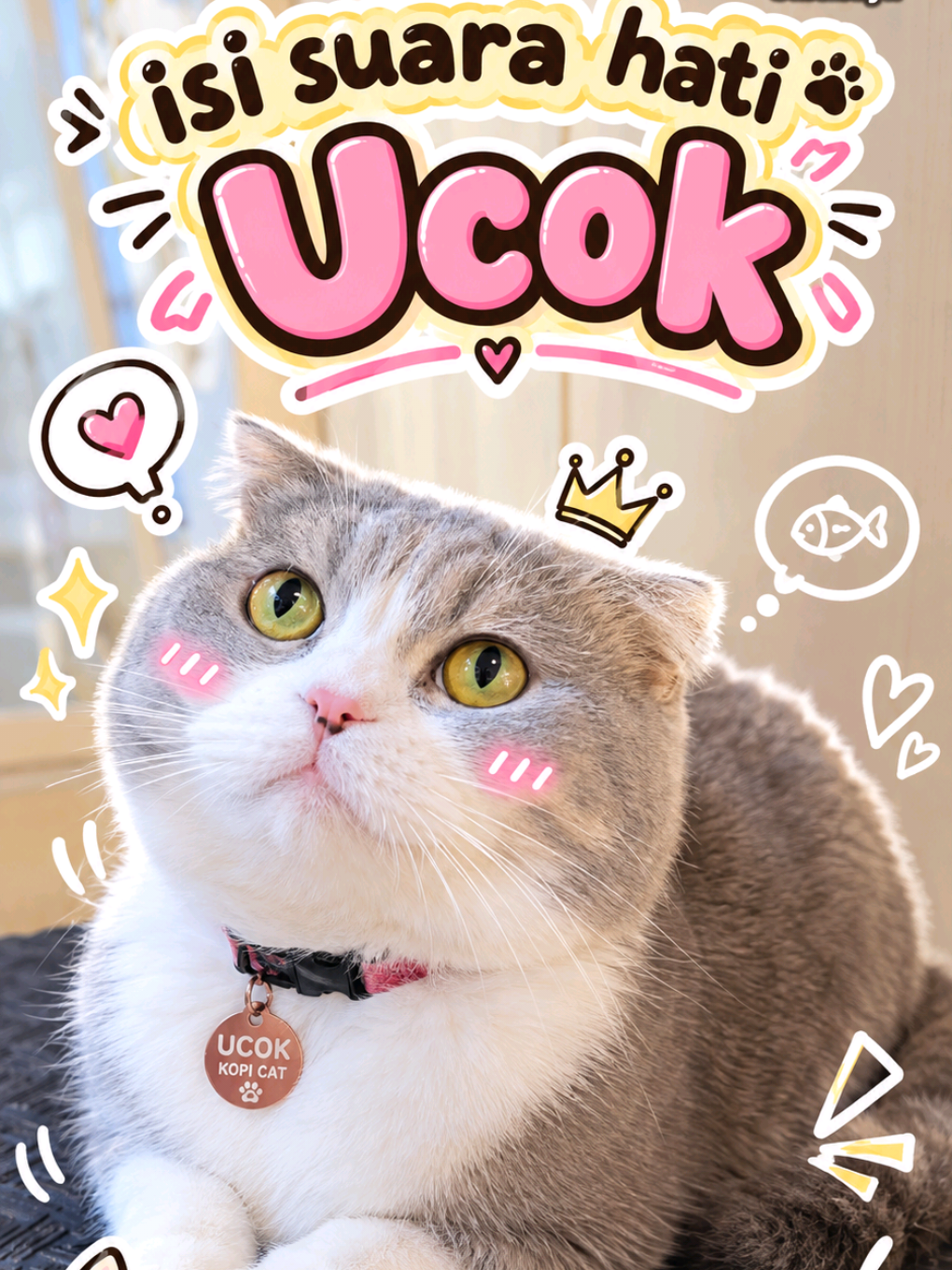 SEGERA RESERVASI INSTAN di kopicatcafe.id  🔹 SEMUA KUCING KAMI VA KSIN RUTIN 🔸 KOPI CAT CAFE cabang SURABAYA (Rungkut), BINTARO (Tangsel ) & cabang KEMANG (Jaksel) Buka setiap hari & wajib reservasi  — ENTRANCE FEE/HTM (Per Orang, termasuk balita yg sudah bisa jalan)  🔹 Tidak termasuk makanan & minuman: 🔸 Senin - Jumat Rp 65.000 / jam / org 🔹 Sabtu - Minggu & Libur Nasional Rp 75.000 / jam / org 🔹 PROMO Your B’day FREE HTM 1 jam bila Anda Ultah di minggu yg sama saat kedatangan, tunjukkan KIA/KTP/Akte lahir 🔸  Senin-Jumat 11.00-20.00 Sabtu-Minggu 09.00-21.00 🔸 WAJIB RESERVASI KLIK LINK DI BIO & WAJIB TEPAT WAKTU - TELAT HANGUS 🔹 PROTOKOL KESEHATAN CAFE: - 1. BALITA Free HTM bagi yang belum bisa jalan  - 2. WAJIB GANTI SANDAL CAFE & STERIL TANGAN (Sudah kami lakukan sejak 2017) - 3. BATAS TAMU BERSAMAAN (14 Org SURABAYA, 10 Org BINTARO & 12 Org KEMANG) 🔹 TIDAK DIPERKENANKAN MEMBAWA HEWAN DARI LUAR  🔸 Komplek Rungkut Megah Raya, Blok B no 31, Kel Kali Rungkut, Kec Rungkut, Surabaya 📞  WA 0811 9000 269 🔹 Ruko Victorian Blok C5 Jl. Bintaro Utama Raya Sektor 3A Tangsel - 📞 TEL: 021 737 2964 ext 300 or WA 0811 1000 8820 🔸 Jl Kemang Selatan VIII, No 63 A-B, Bangka, Mampang Prapatan, Jakarta 📞 TEL: 021 718 1794  or WA 0811 1000 8809 🔹 Follow us on Instagram & Facebook & TikTok: @kopicat.groovy 🔸 #kopicatgroovy #catcafe #kafekucing #catcafejakarta #kopicatbintaro 