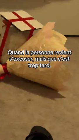 la musique qui se lance à la fin 😂😂 #pourtoii 