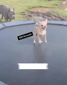 #UnfreezeVideo 