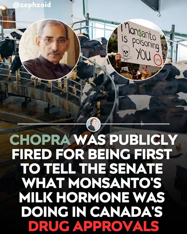 Three Health Canada scientists testified against a Monsanto milk hormone under oath, and years later all three were fired. They said their own bosses were pressing them to approve a hormone that boosts milk output in dairy cows. The Senate committee recorded that they delayed testifying until promised there would be no reprisals. Canada never approved the hormone, and all three were dismissed in 2004. Verify where your milk actually comes from with the Localize app. Sources: CBC