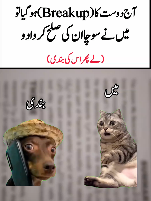 Mera dost ke gf#ramidost #unfreezemyacount #funny #viral #hamzamemes🤣🤣🤣 