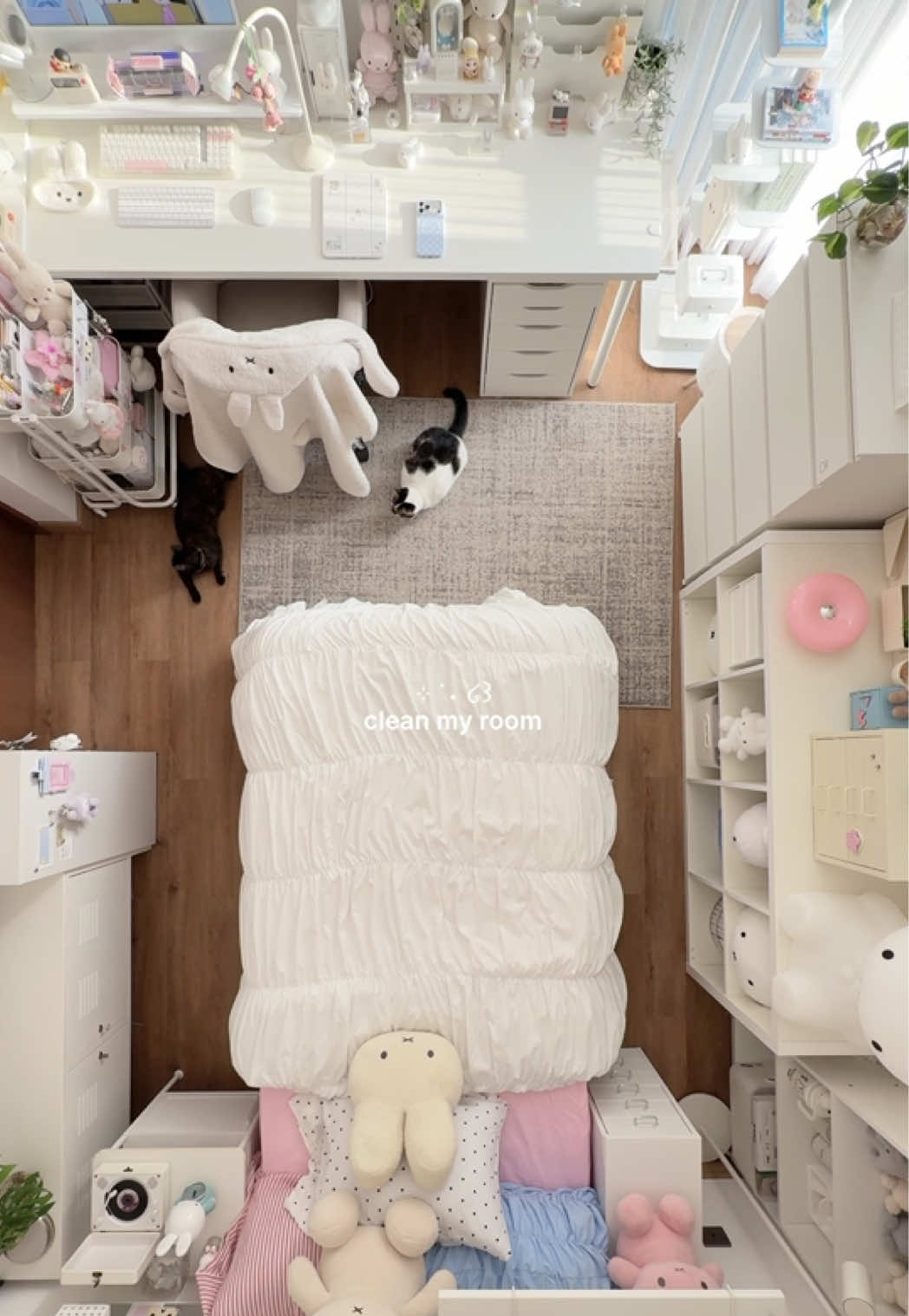 cleaning my room with my two cats 🐱🫧🛋️✨ #roomdecor #roomreset #roominspo #miffy #room 
