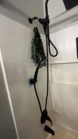 Tell your man to move on over.  #showerhead #rainfall #shower #dualshowerhead #tiktokshopcreatorpicks 