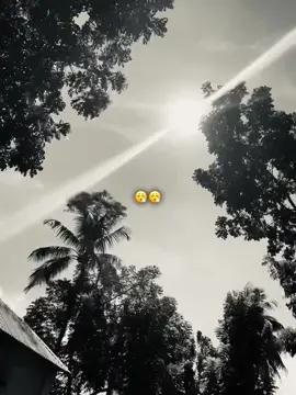#ppppppppppppppppppppppp #tyyyyyyyyyyyyyyyyyyyyyyyyyyyyyy #foryoutiktok #500k #💥💫🥱 