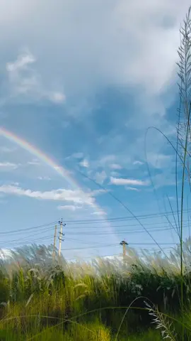 rainbow 🌈  #vairal #following #nadu #foryou 