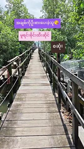 #singpore🇸🇬  #Lower Seletar Reservoir / Yishun Jetty#နေကပူနေသော်လည်းလျှောက်သွား🕶️🧢🎧🚣‍♂️🚣‍♂️🍃🌿☘️🍀🌱🌴🎋🦀🦞🦐🦑🐙🦎 