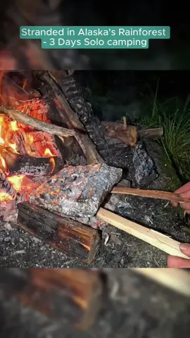 Stranded in Alaska's Rainforest 3 Days Solo Camping #outdoor #Outdoors #outdoorcooking #camp #camping #cook #cooking #survive #survival #alaska #bushcraft 